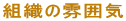 gD͋̕C